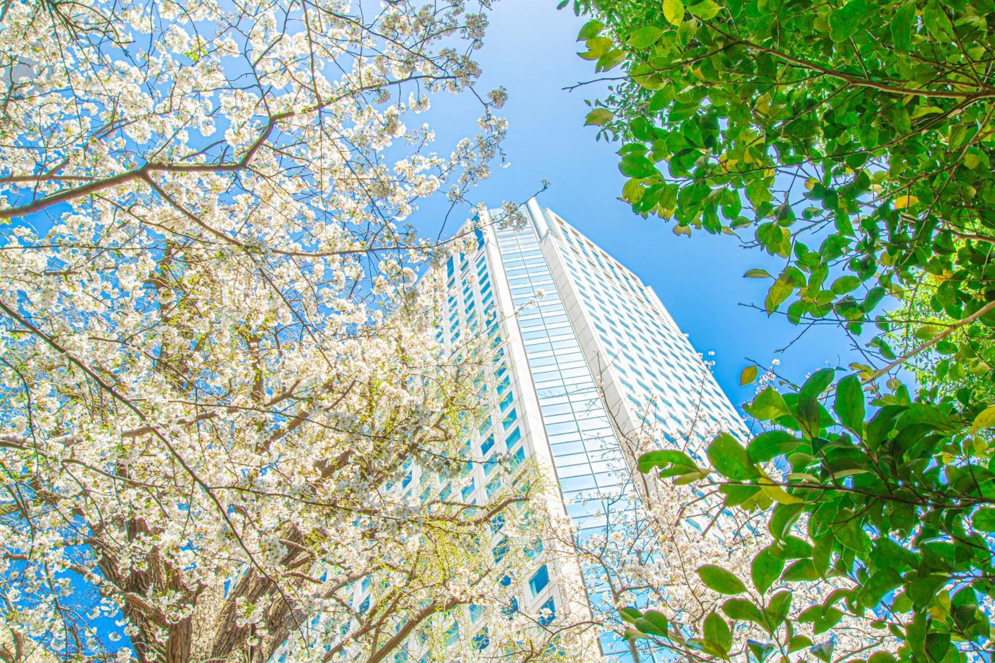Shinagawa Prince Hotel Tokyo Esterno foto